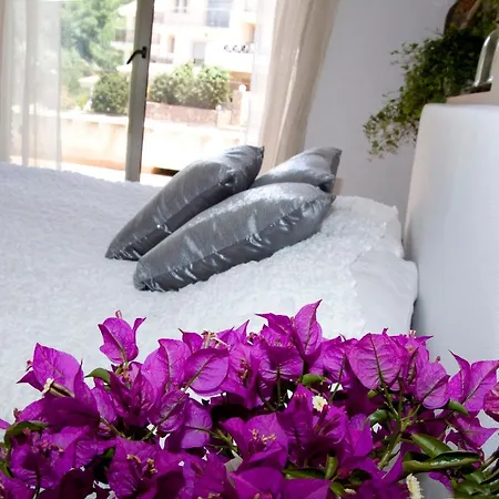Alegre Playa Grupo Terra De Mar, Con Encanto * 칼페